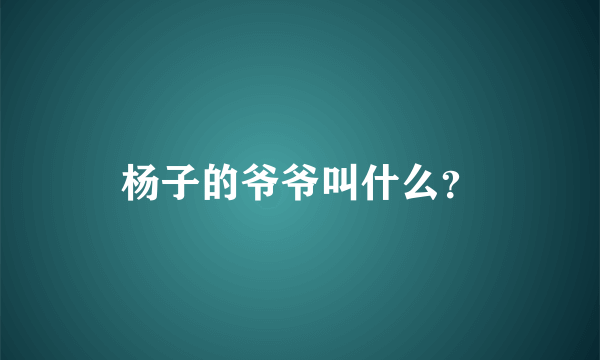 杨子的爷爷叫什么？