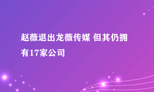 赵薇退出龙薇传媒 但其仍拥有17家公司