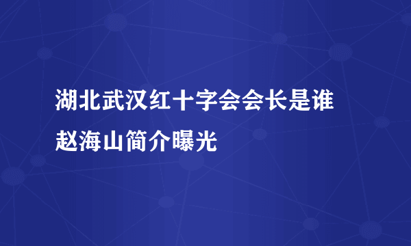 湖北武汉红十字会会长是谁 赵海山简介曝光