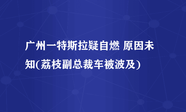 广州一特斯拉疑自燃 原因未知(荔枝副总裁车被波及)