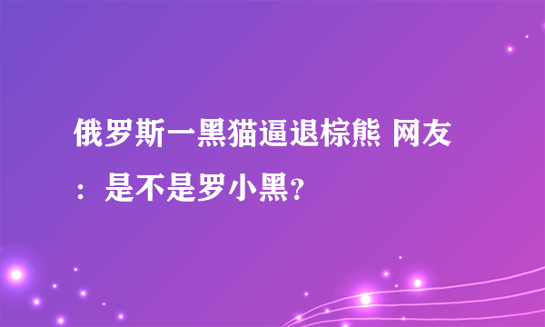 俄罗斯一黑猫逼退棕熊 网友：是不是罗小黑？