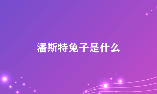 潘斯特兔子是什么