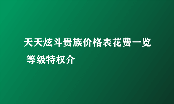 天天炫斗贵族价格表花费一览 等级特权介