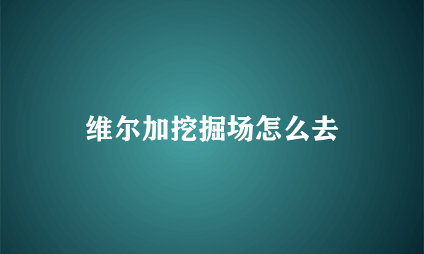 维尔加挖掘场怎么去