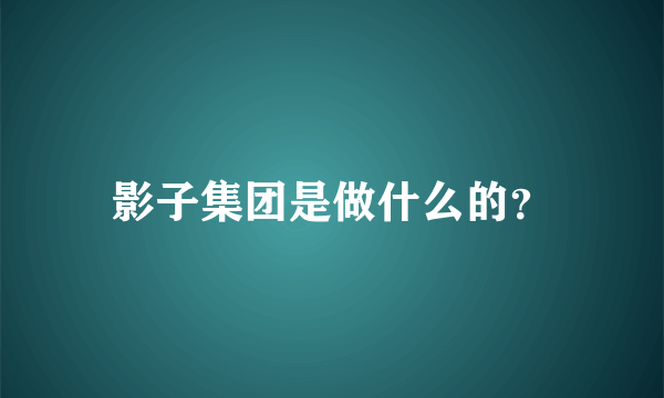 影子集团是做什么的？