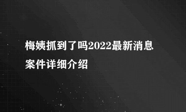 梅姨抓到了吗2022最新消息 案件详细介绍