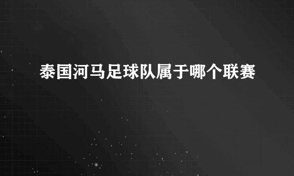 泰国河马足球队属于哪个联赛