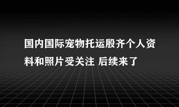 国内国际宠物托运殷齐个人资料和照片受关注 后续来了