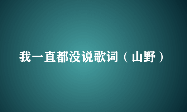 我一直都没说歌词（山野）