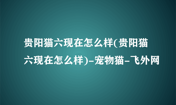 贵阳猫六现在怎么样(贵阳猫六现在怎么样)-宠物猫-飞外网