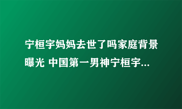 宁桓宇妈妈去世了吗家庭背景曝光 中国第一男神宁桓宇为何叫七哥