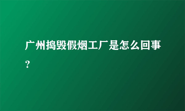 广州捣毁假烟工厂是怎么回事？