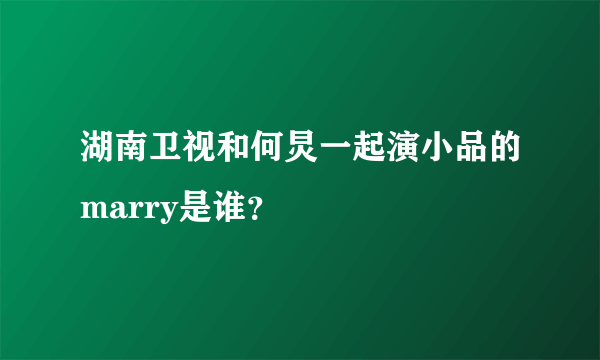 湖南卫视和何炅一起演小品的marry是谁？