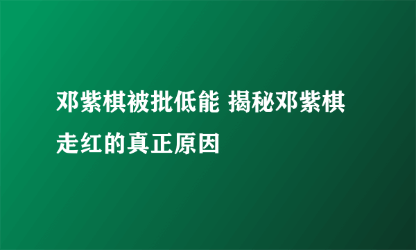 邓紫棋被批低能 揭秘邓紫棋走红的真正原因