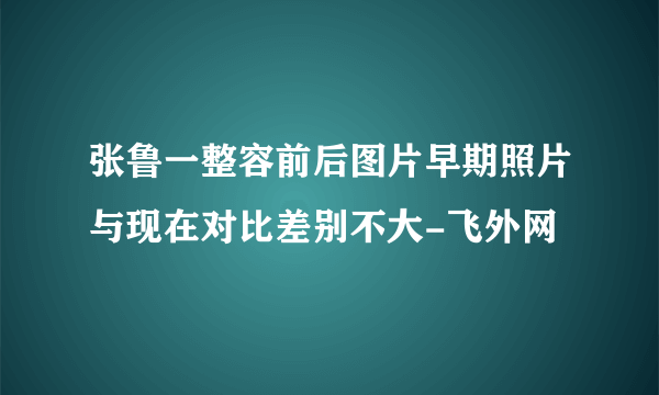 张鲁一整容前后图片早期照片与现在对比差别不大-飞外网