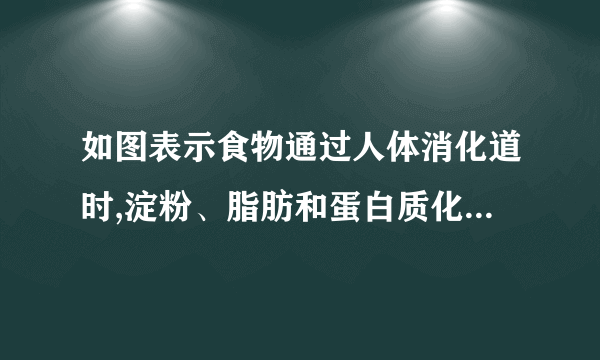 如图表示食物通过人体消化道时,淀粉、脂肪和蛋白质化学性消化的程度,字母代表组成消化道的各器官及排列顺序,请据图回答:(1)图中 X 曲线表示的是淀粉的消化过程.(2)性图中可以看到淀粉的消化开始于 口腔 ,蛋白质的消化开始于 胃 ,脂肪的消化开始于 小肠 .(3)D内的消化液有哪些? 肠液、胰液、胆汁(4)淀粉、蛋白质和脂肪消化的终产物分别是 葡萄糖 、 氨基酸 甘油和脂肪酸,这些终产物几乎全部在 小肠 内吸收,然后随着血液循环运往全身.