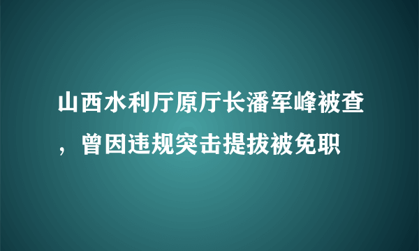 山西水利厅原厅长潘军峰被查，曾因违规突击提拔被免职