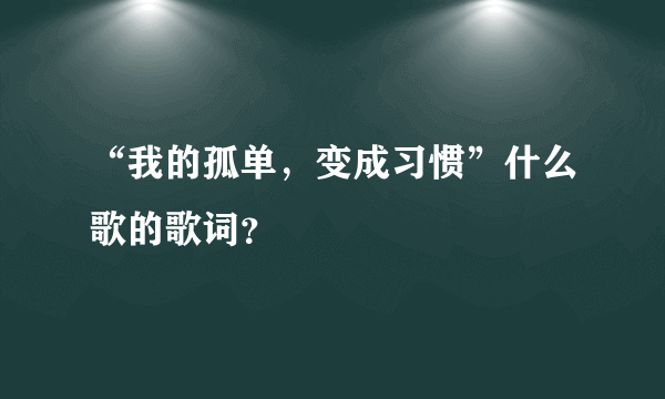 “我的孤单，变成习惯”什么歌的歌词？