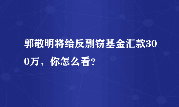 郭敬明将给反剽窃基金汇款300万，你怎么看？