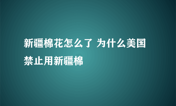 新疆棉花怎么了 为什么美国禁止用新疆棉