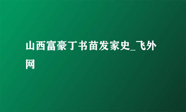 山西富豪丁书苗发家史_飞外网