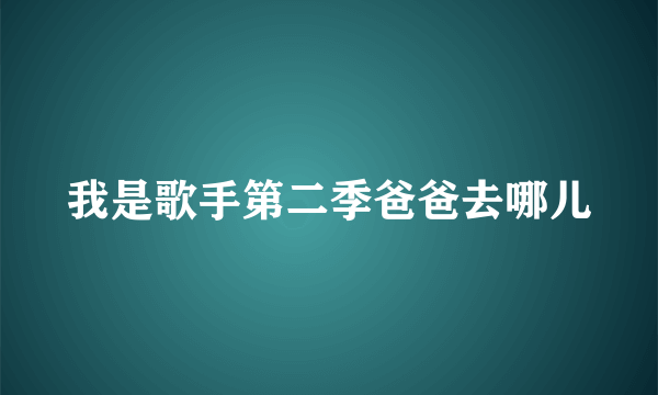 我是歌手第二季爸爸去哪儿