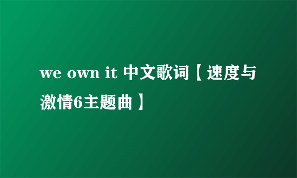 we own it 中文歌词【速度与激情6主题曲】