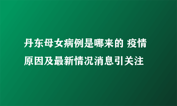 丹东母女病例是哪来的 疫情原因及最新情况消息引关注