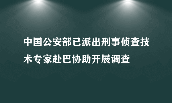 中国公安部已派出刑事侦查技术专家赴巴协助开展调查