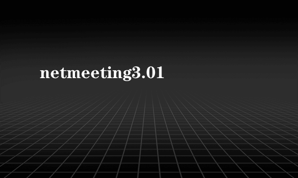 netmeeting3.01