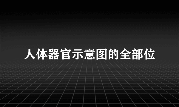 人体器官示意图的全部位