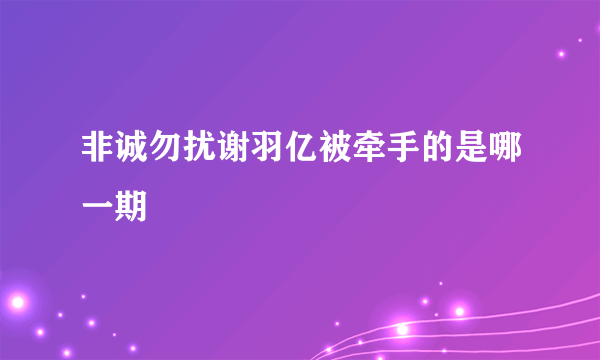 非诚勿扰谢羽亿被牵手的是哪一期