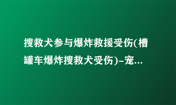 搜救犬参与爆炸救援受伤(槽罐车爆炸搜救犬受伤)-宠物狗-飞外网