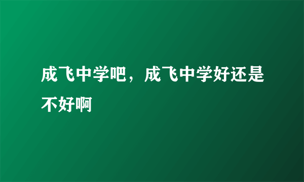 成飞中学吧，成飞中学好还是不好啊