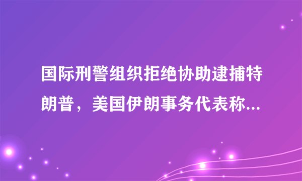 国际刑警组织拒绝协助逮捕特朗普，美国伊朗事务代表称这只是一个宣传噱头